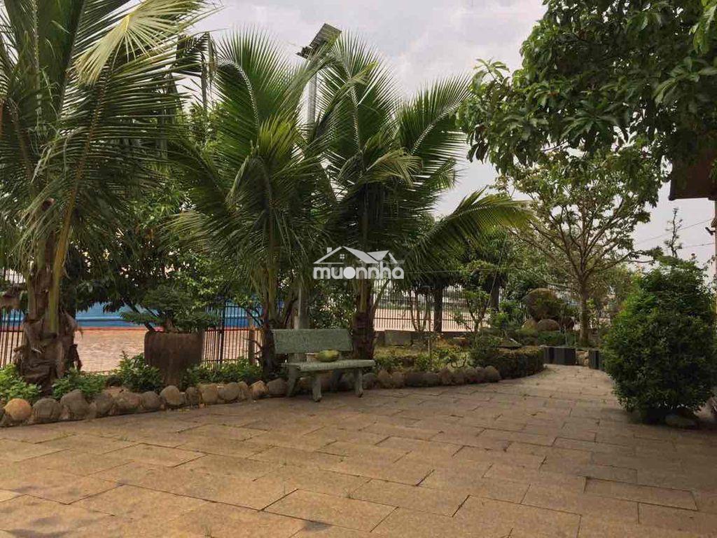 Cho thuê nhà vườn sinh thái - view sông tuyệt đẹp- bình hoà - vĩnh cửu - 3