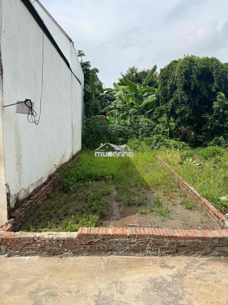 Bán  đất - 2