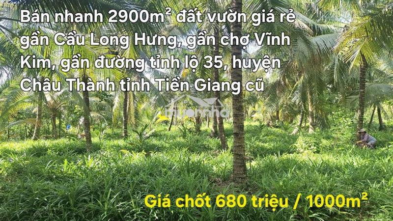 Bán 2900m² đất vườn giá rẻ gần đường tỉnh lộ 35 , gần cầu long hưng