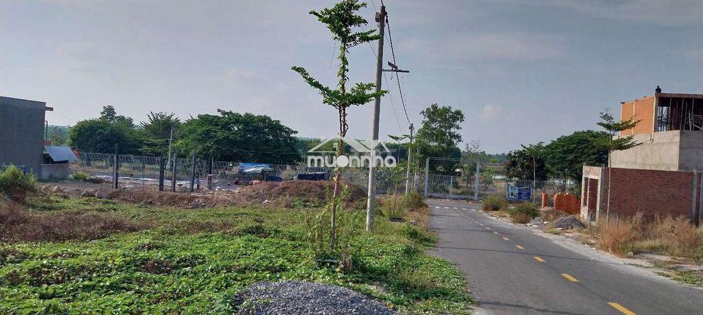 Cần bán gấp đất nên thổ cư - 4