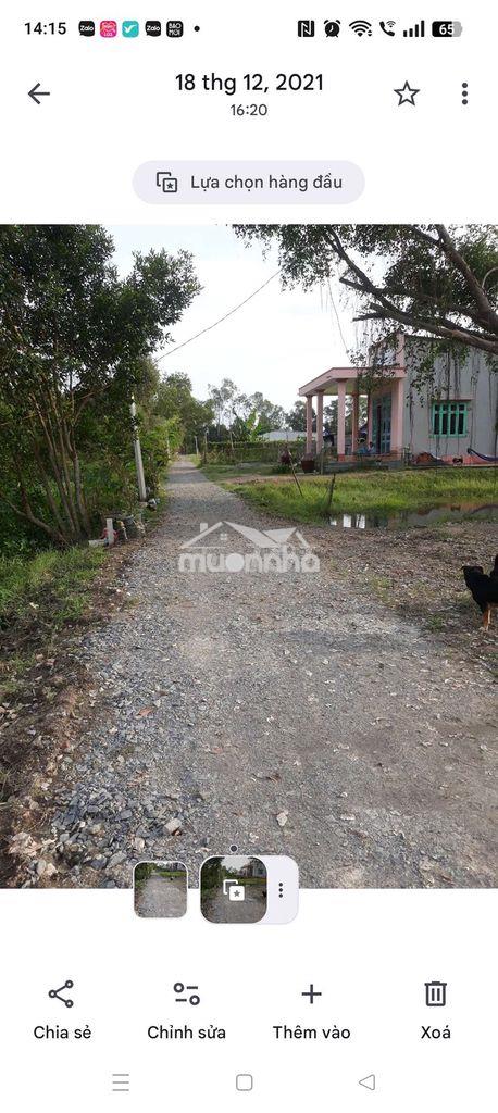 Đất thổ cư toàn bộ 700m2 ngang 20m sát bên chợ thị trấn đức huệ - 2