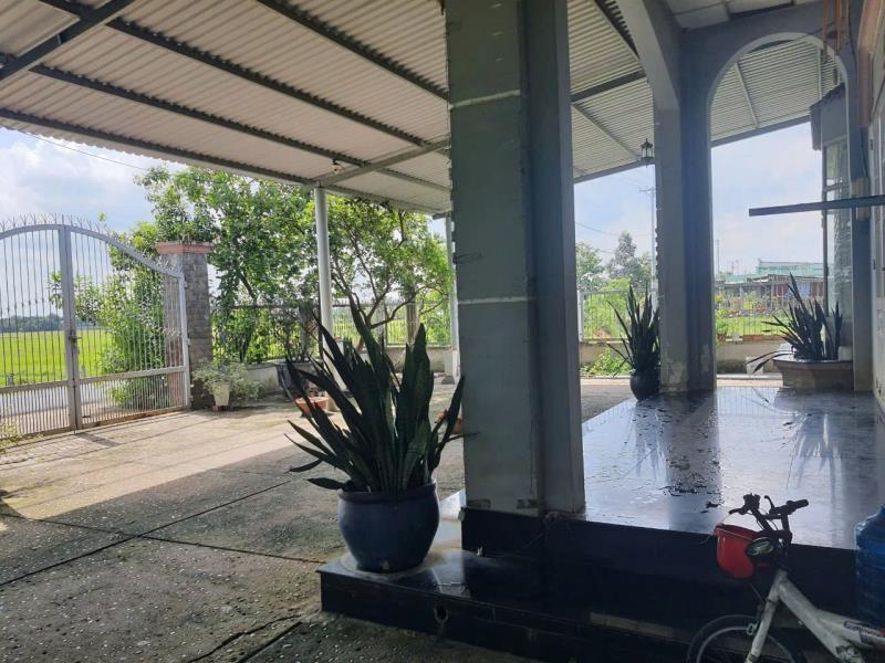 🏭🏡 Chính chủ cho thuê nhà xưởng & đất rộng 1.306m² tại phước thạnh, củ chi 🏡🏭 - 4