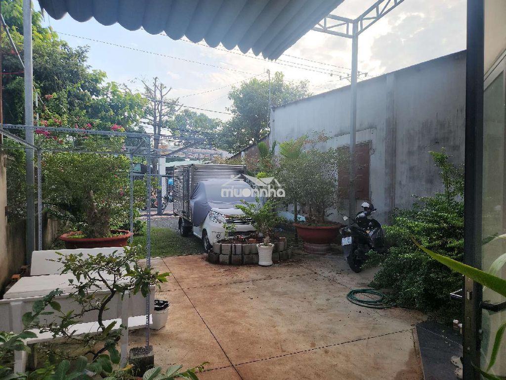 Chính chủ, cần tiền bán gấp: nhà vườn, mặt tiền đường phan đăng lưu - 4