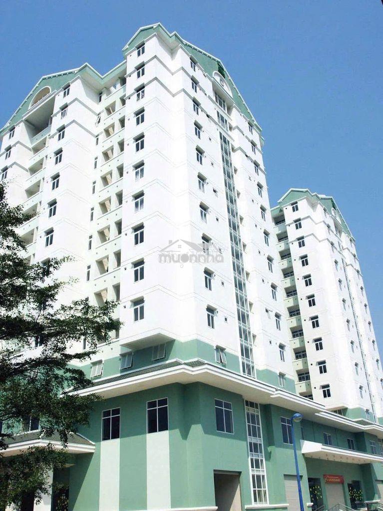 Bán gấp cc nhất lan 2, (c, đ) . 50 m2, 1 pn, sổ sẵn , hỗ trợ vay