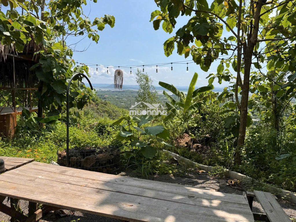 🌿 689tr – 1328m² vườn trái cây cạnh sông la ngà - cách nhựa 200m - 3