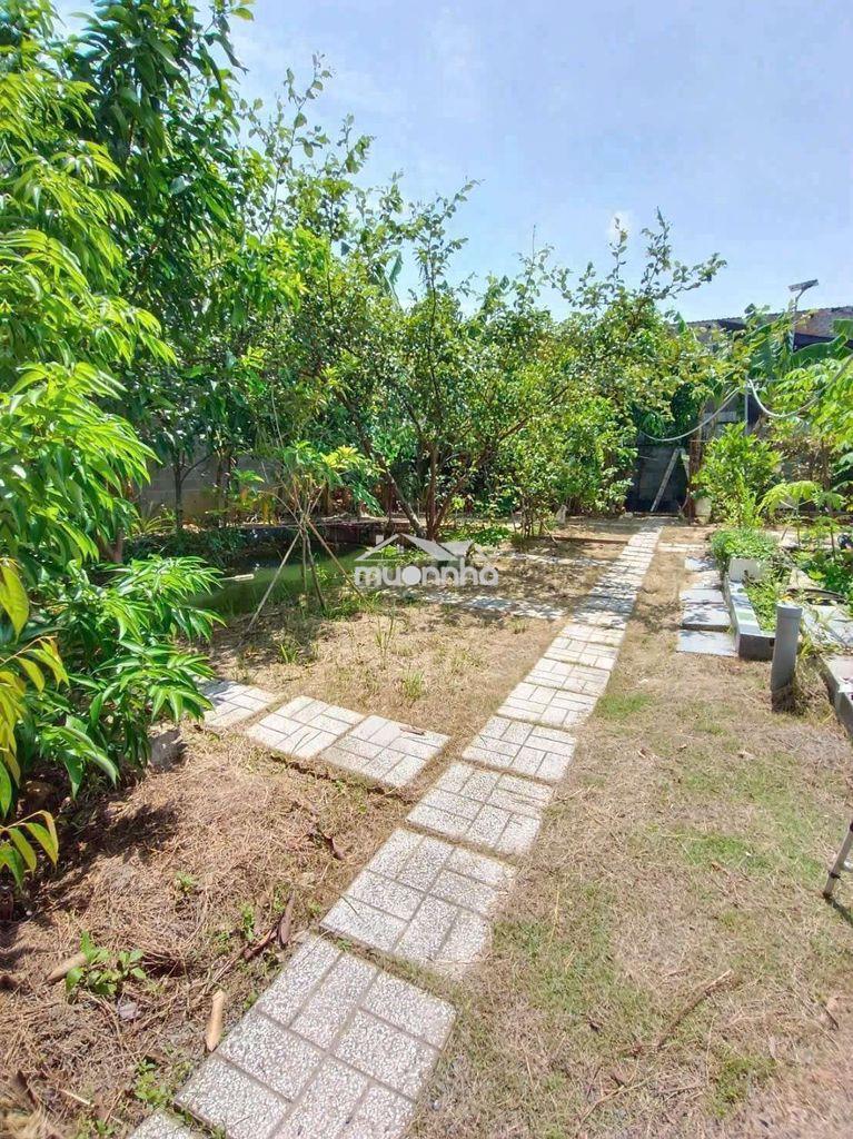 Nhà vườn phường bửu long - 2