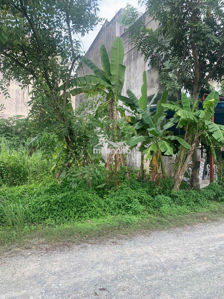 🟢 Bán đất nền 5 x 17-85m2 kdc greenlife 13c sổ hồng cn xã bình hưng m