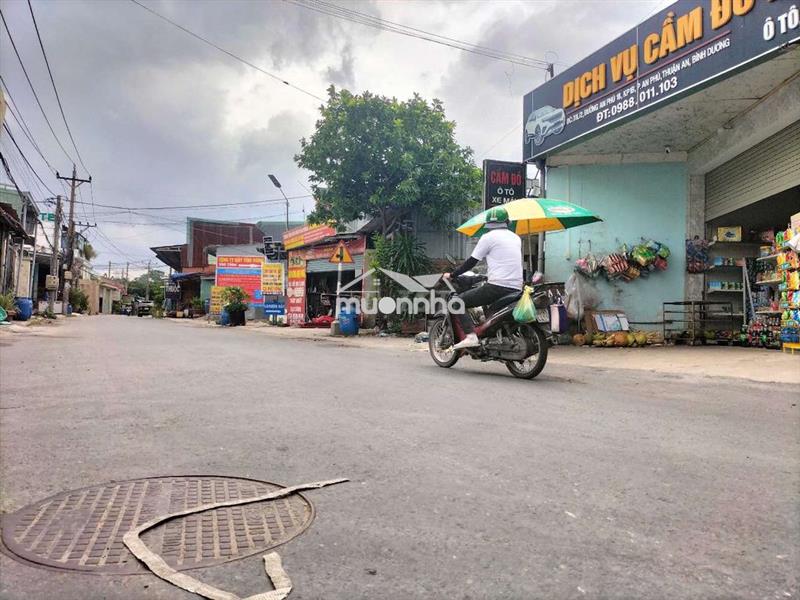 🇻🇳 5tr mặt tiền kinh doanh 110m2 2p ngủ. an phú nhanh mới kịp ạ