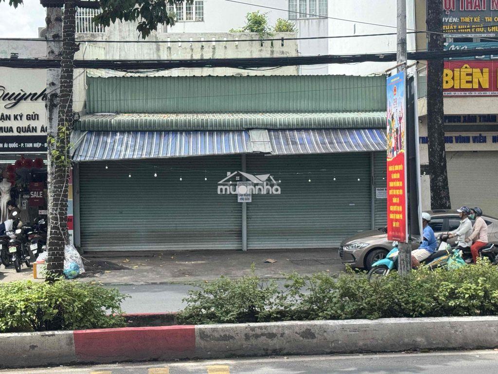 Bán đất - 4
