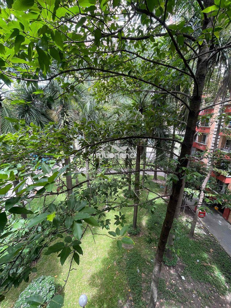 Bán căn hộ bàu cát 2 (thang bộ) 50m2 -2pn-1wc nhà mới 100%, sổ hồng - 4