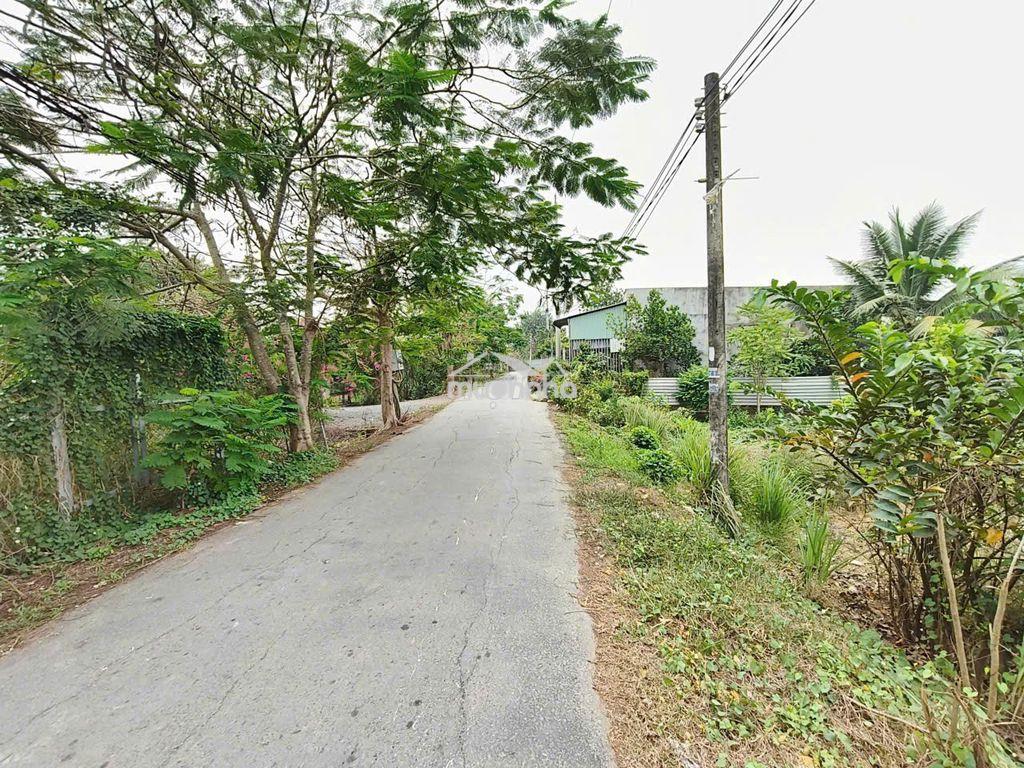 Bán đất quy đức  bình chánh - 3