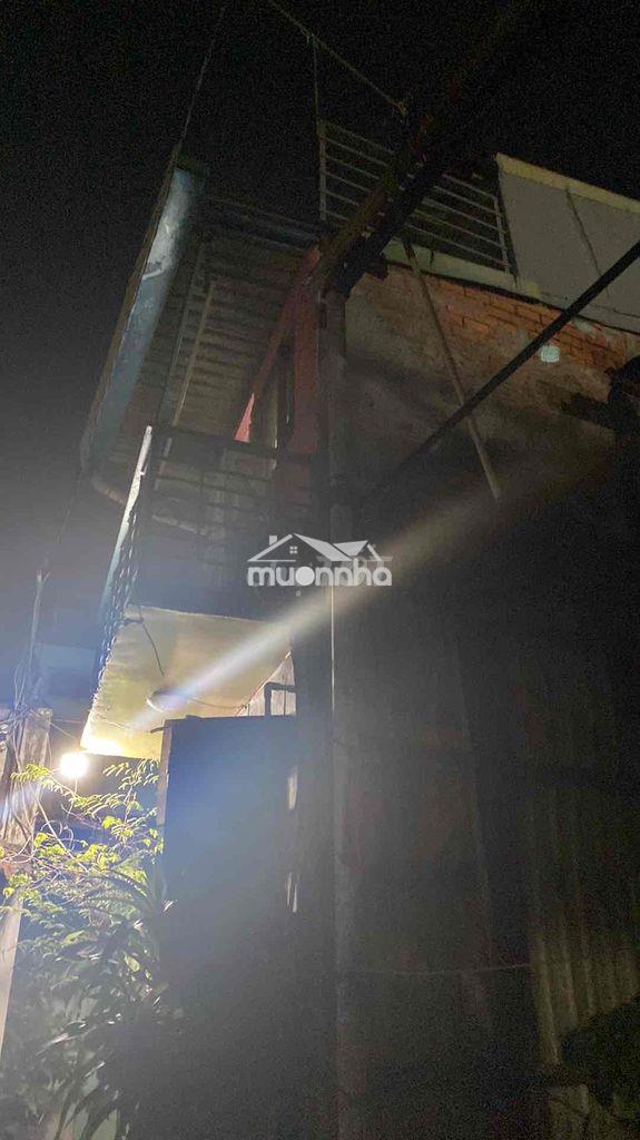 Ngay dâm sen - 2