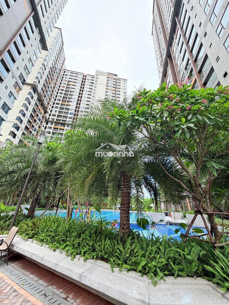 Cho thuê căn hộ ehome 3 - gió mát lồng lộng - 2
