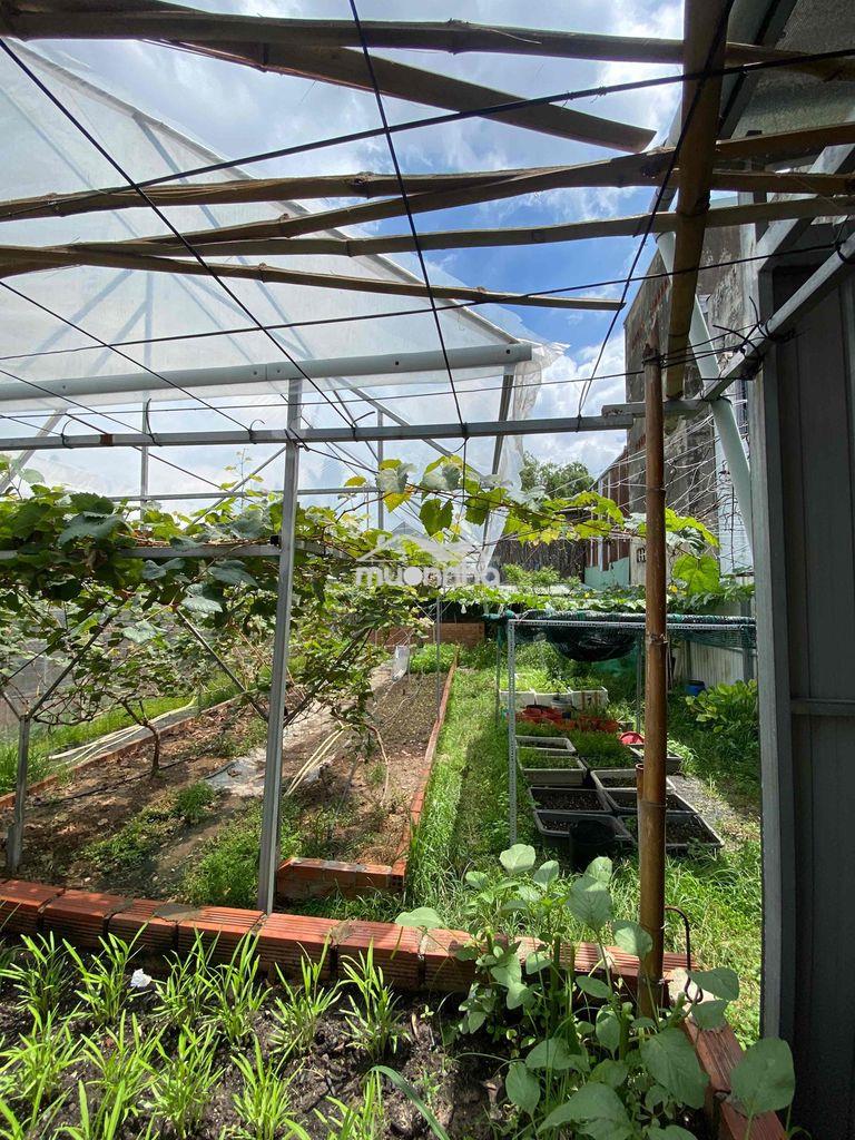 Bán nhà vườn 1400m2 đường 36 bến đò linh đông - 3