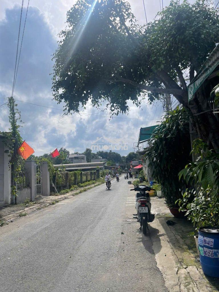 🔥 Cho thuê mặt tiền kinh doanh sầm uất - nguyễn công trứ, đông hòa 🔥 - 2