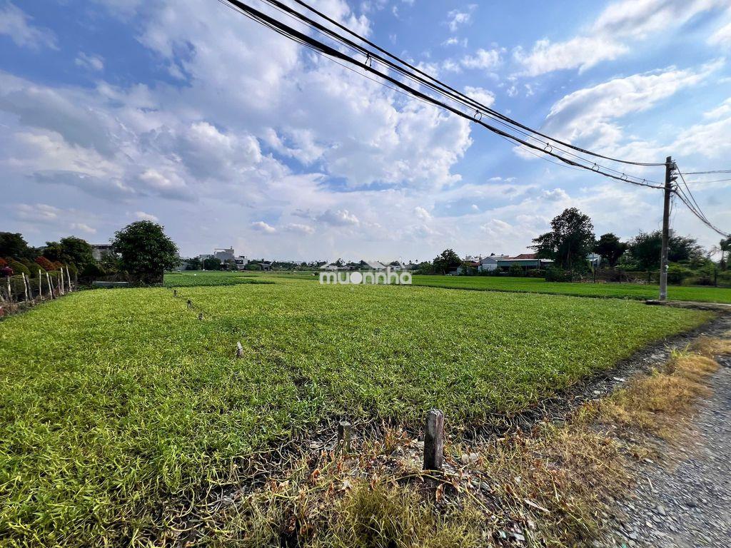 Chính chủ - bán gấp trong tháng - đất nông nghiệp - 4