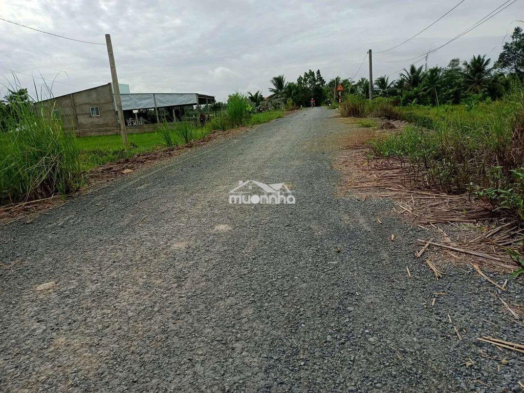 Bán đất chính chủ  - Ảnh 2