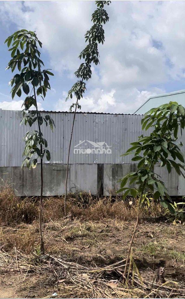 Bán 153m2 nhà ở bình dương - Ảnh 3