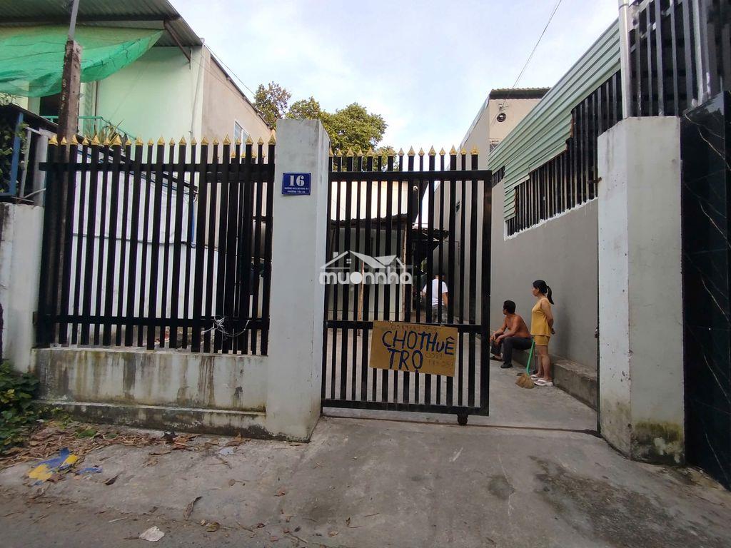 Phòng trọ giá rẻ , p tân an, thủ dầu 1 - Ảnh 2