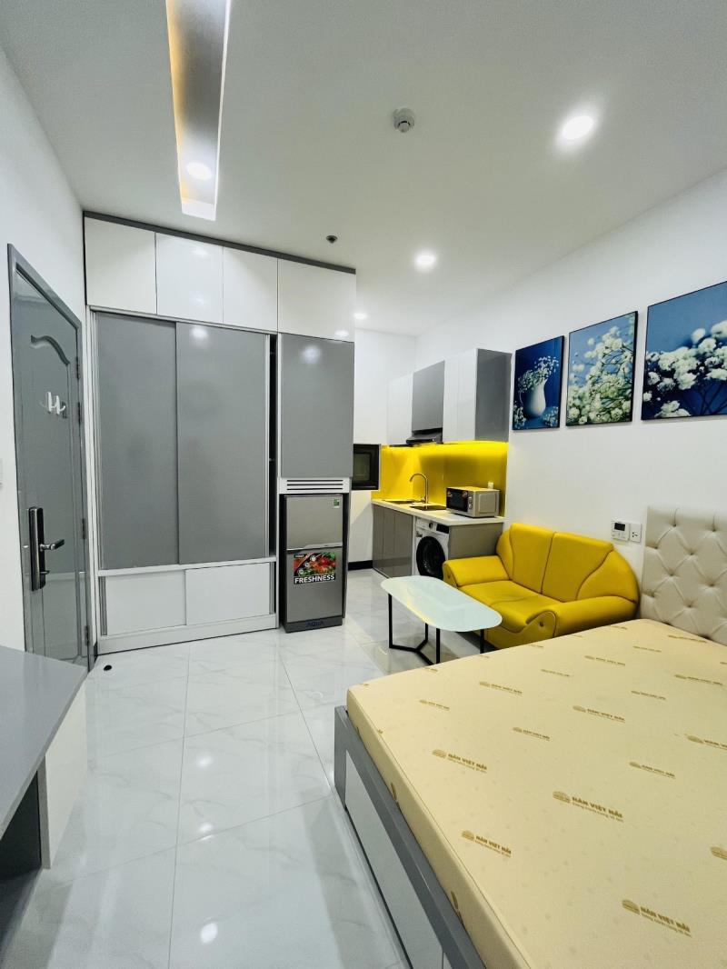 Cho thuê căn hộ chung cư mini full nội thất cao cấp gần lotte mart quận 7 - Ảnh 3