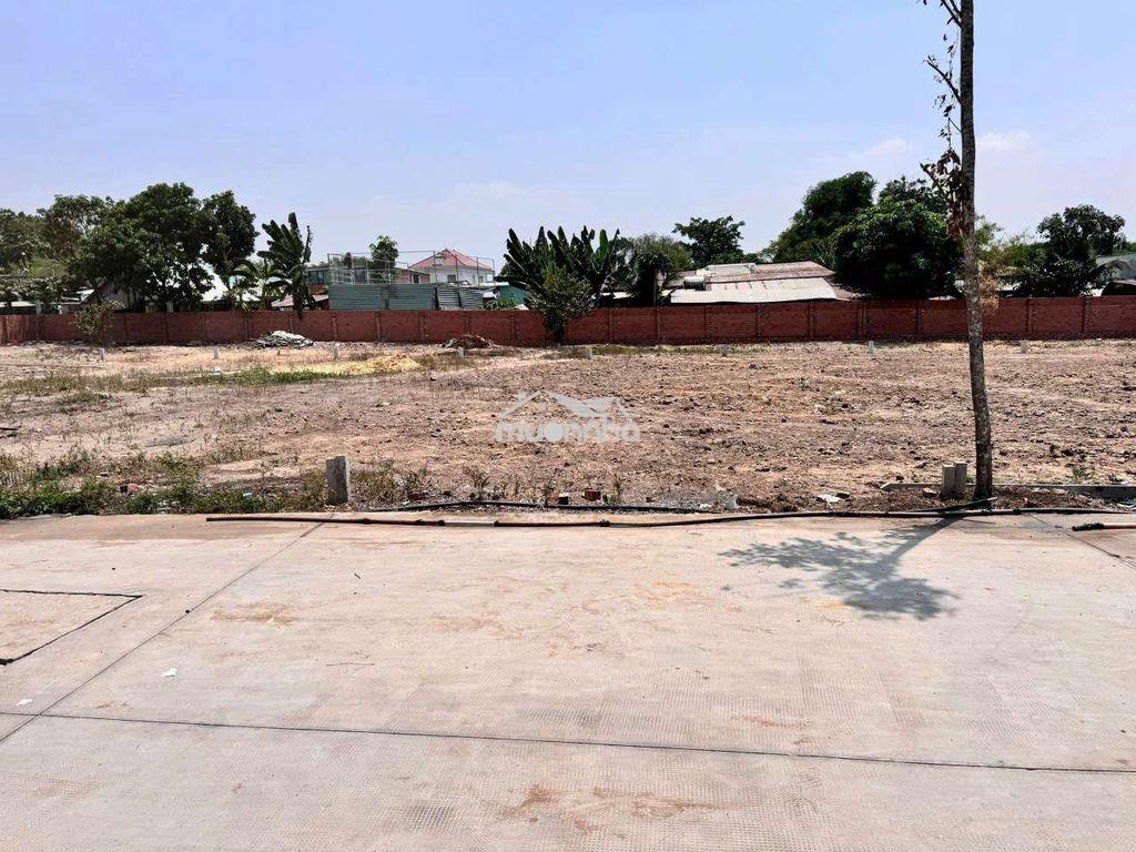 Đất phú hòa đông chính chủ - Ảnh 4