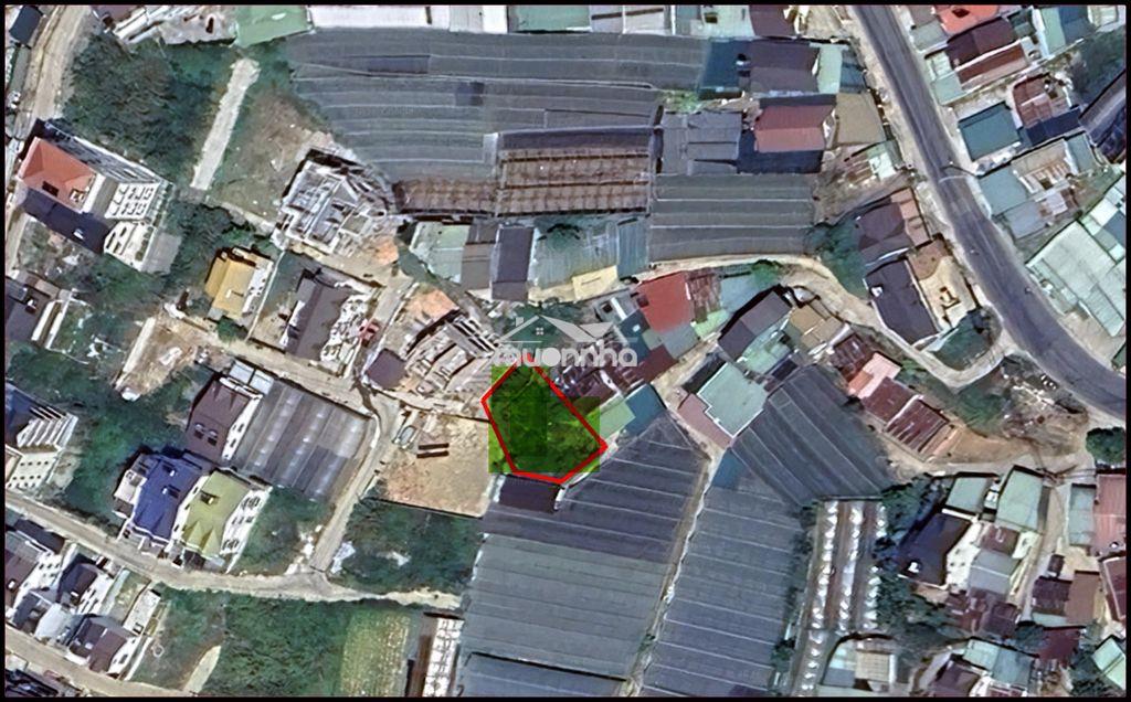 Bán 301,25m² đất hoàng văn thụ p5 đà lạt – 200m² thổ cư – hẻm ô tô - 3