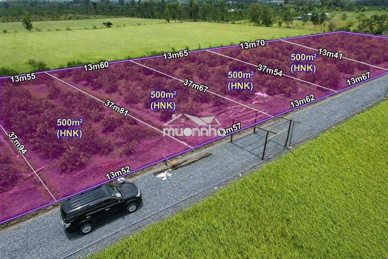 Bán 500m đất làm nhà vườn long an
