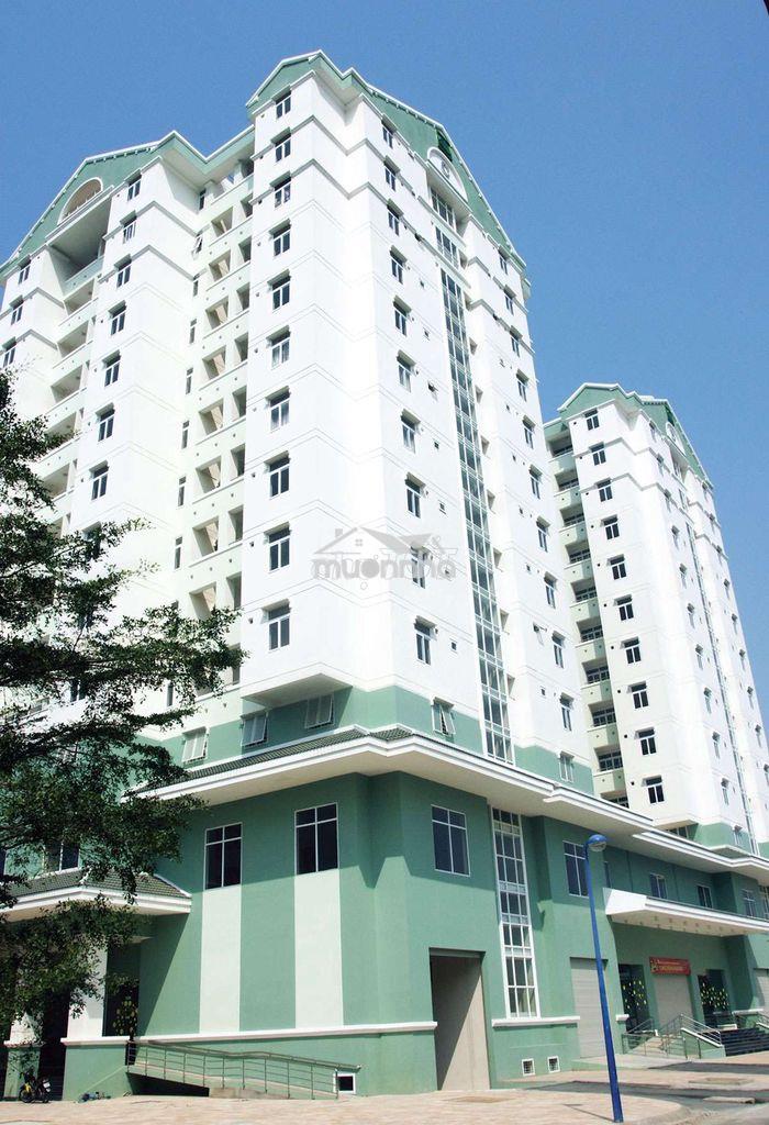 Chính chủ cho thuê căn hộ nhất lan 2