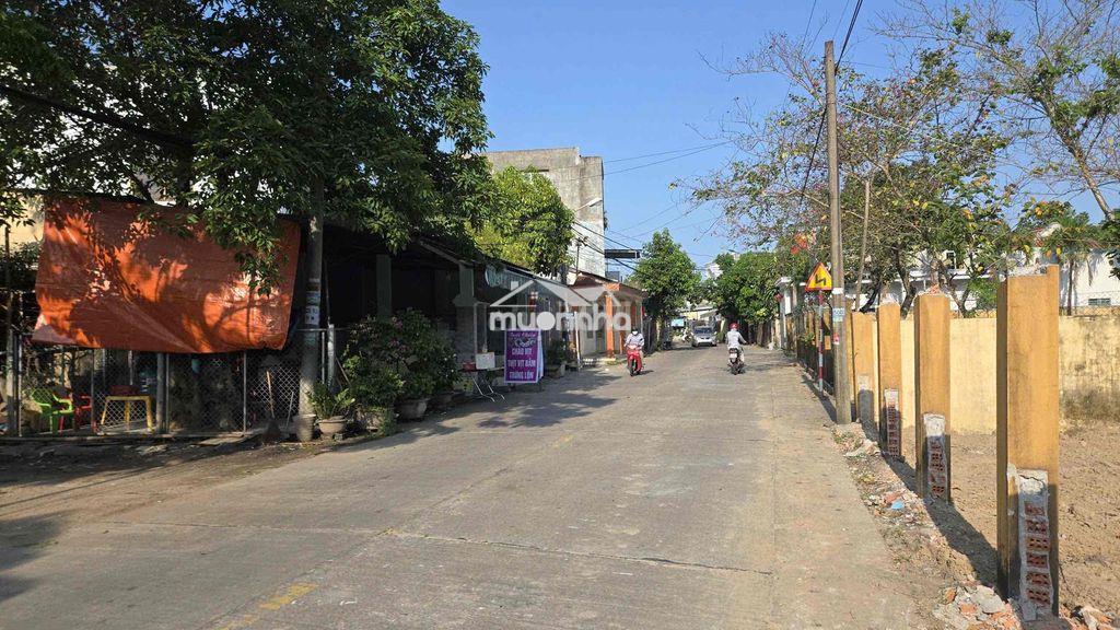 🧧 Đường chính phong nam - Ảnh 2