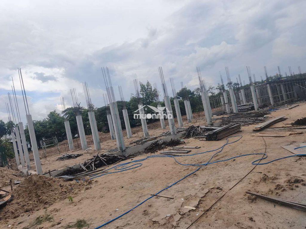 🏡 Bán nhà phố d5 - tái định cư hòa lợi - Ảnh 3