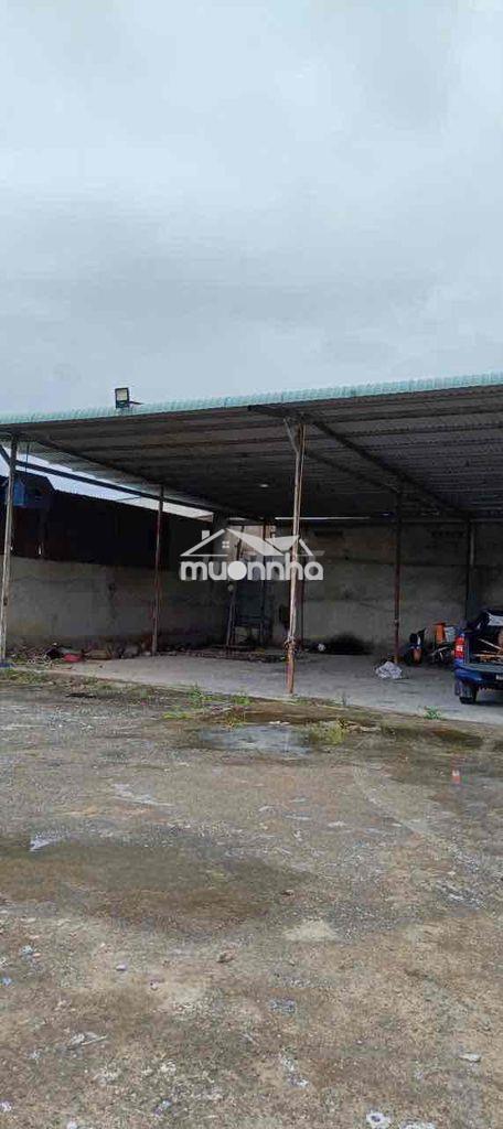 Mb kho bãi 4000m/35tr đường container có nhà kho - Ảnh 3