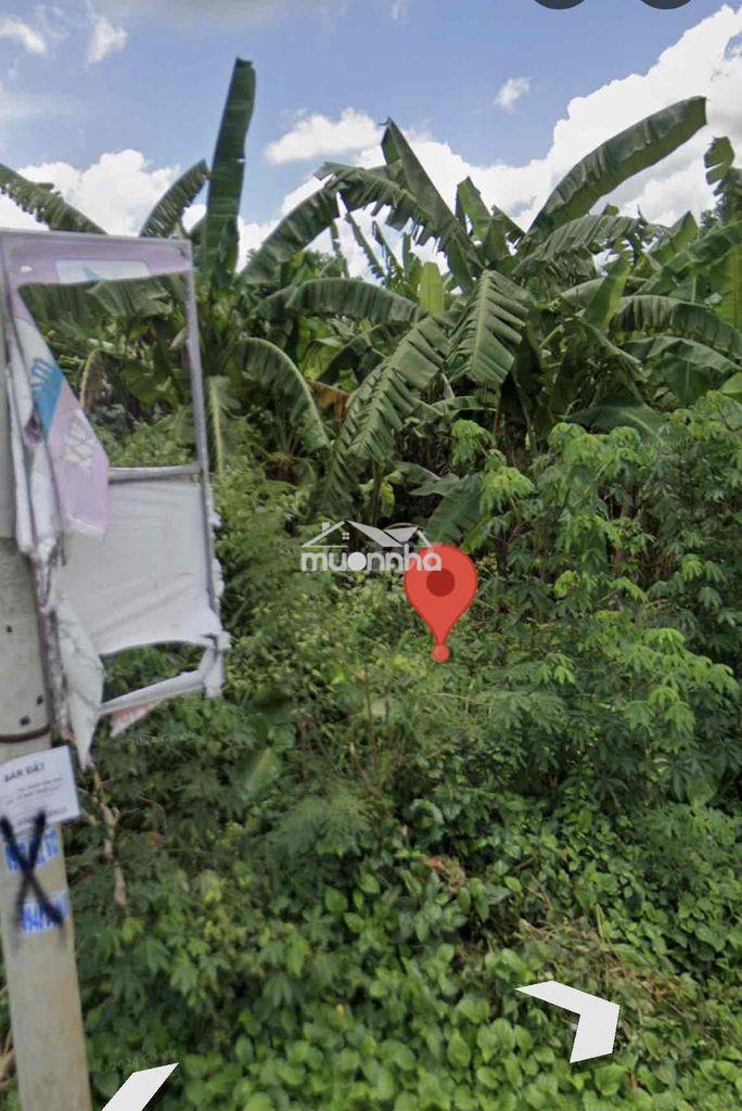 Bán đất mặt tiền đường tà lài km 7,5, gần ubnd xã phú thịnh - Ảnh 2