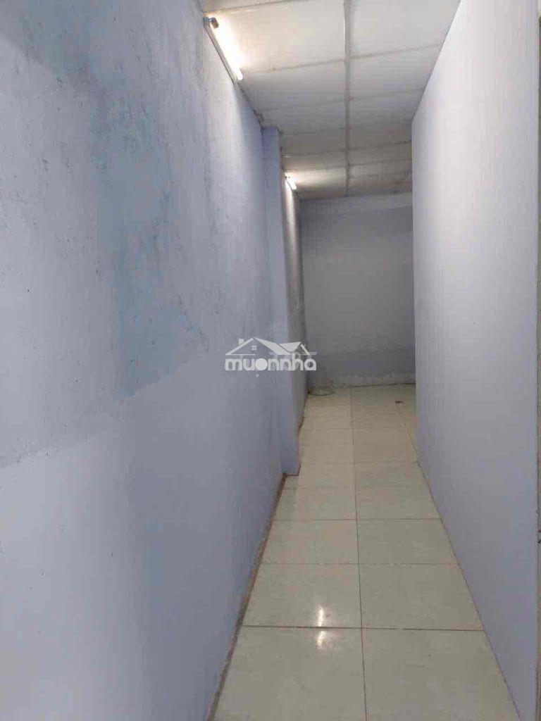 Cho thuê nhà 2/ quách điêu sạch sẽ rộng rãi có sân 2 lớp cửa ở ngay - Ảnh 4