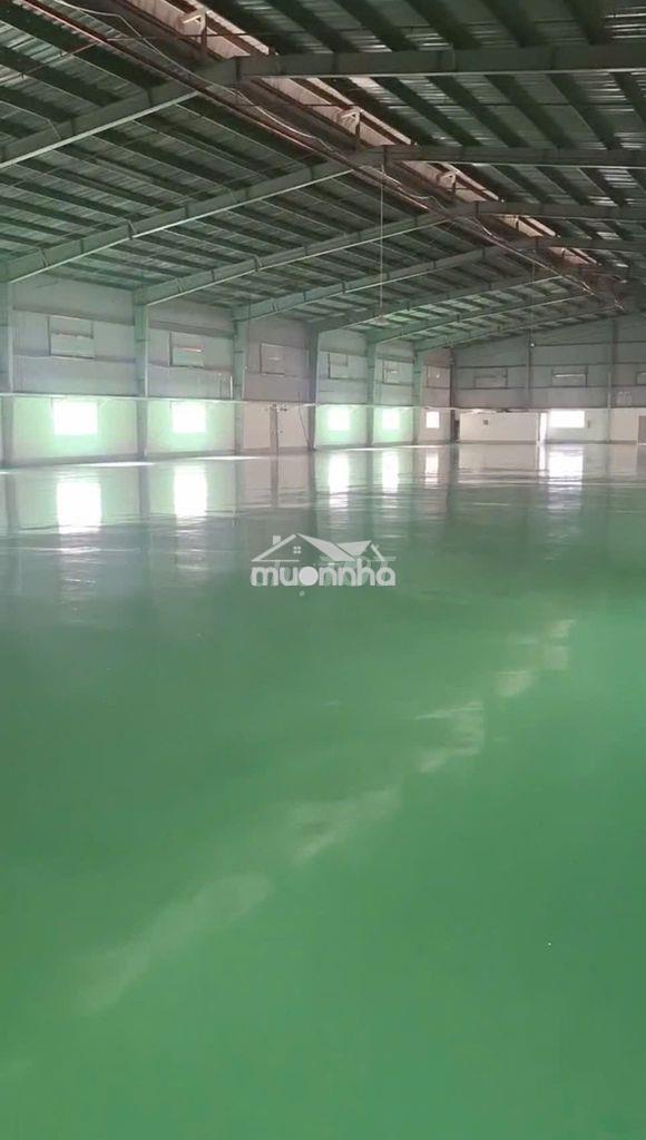 Cho thuê xưởng 2700m2 + 3000m2 tân uyên , pccc tự động ,giấy tờ đầy đủ - Ảnh 2
