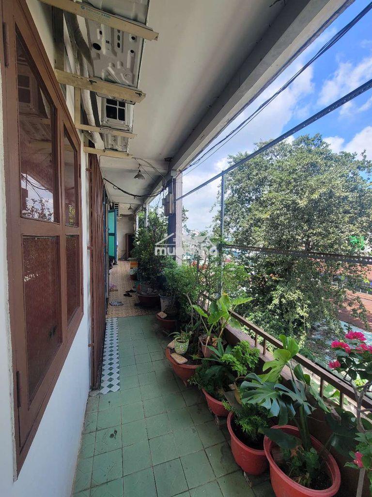 Căn hộ chung cư chợ hoa lạc long quân p5 q11 - Ảnh 2