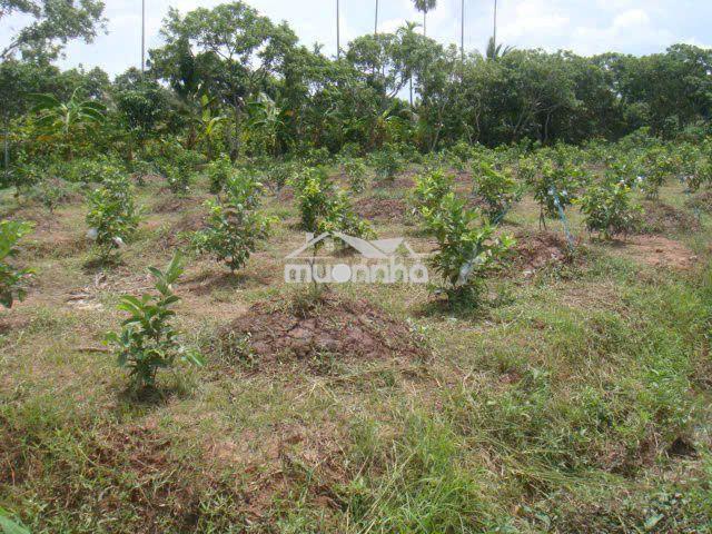 Bán mảnh vườn củ chi 644,4m2 có sổ sẵn