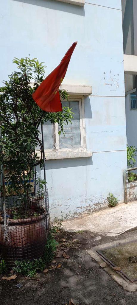 Bán căn hộ chung cư , tầng trệt , có sân trồng cây , sân đậu ô tô  - Ảnh 2