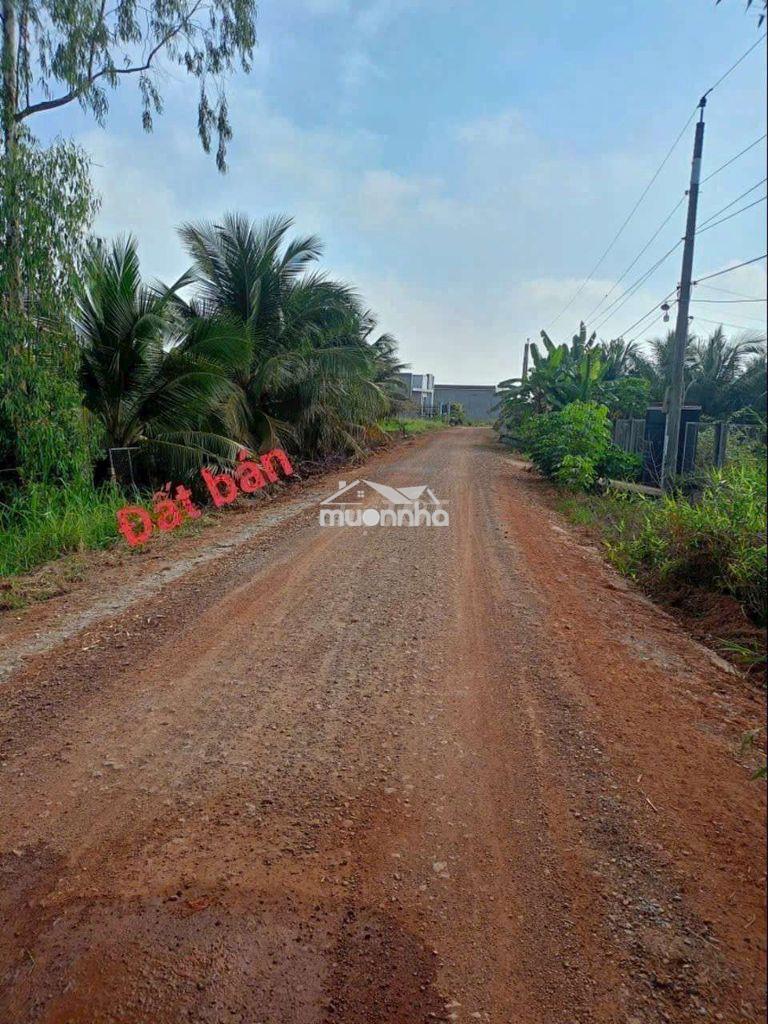 2,5 công đất mt đường nguyễn văn quá, lợi bình nhơn tp tân an