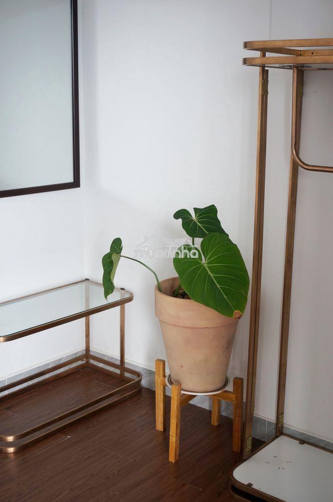 🏠 Cho thuê studio full nội thất – ban công siêu rộng | quận 3 - Ảnh 3