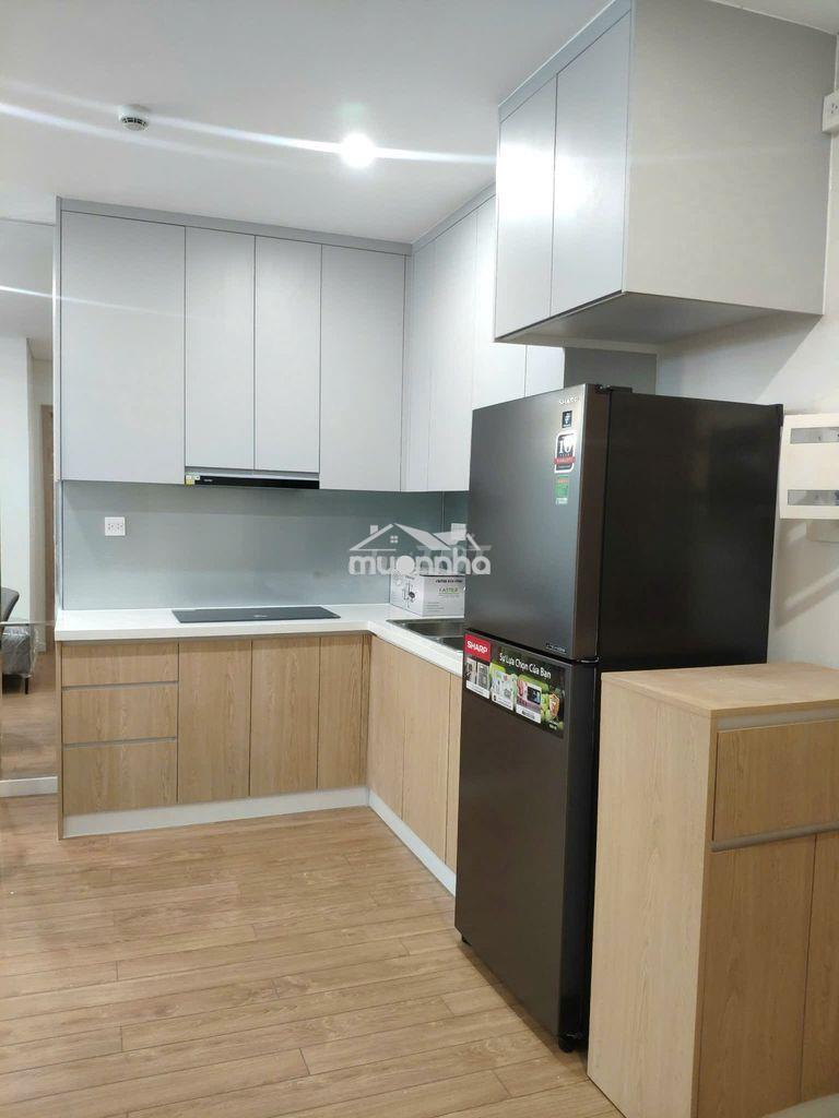 Cho thuê căn hộ diamond lotus phúc khang, cầu chữ y quận 8, giá: 12tr - Ảnh 2