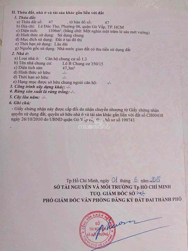 Chính chủ bán chung cư 350/ 15 lđt p6 - Ảnh 2