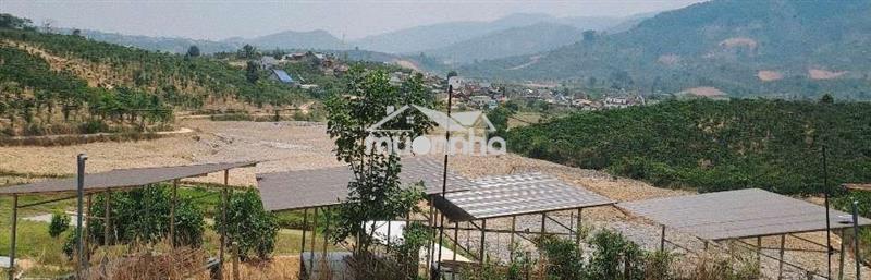 Cần bán vườn cà phê ngay bên khu sinh thái hồ kala , di linh