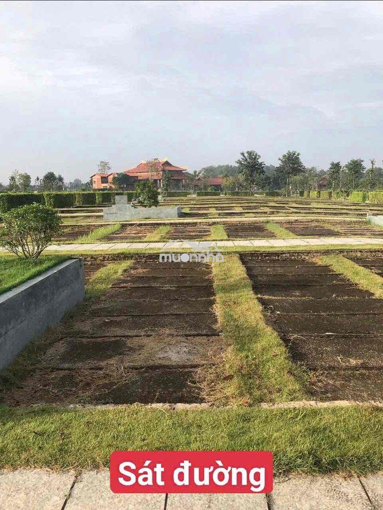 Chiính chủ gấp bán giá tốt m2.06-16 hoa viên sala garden - Ảnh 4