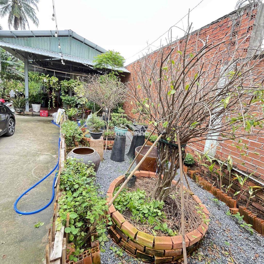 🌵Bán đất vườn gần chợ an sơn thuận an bình dương - Ảnh 3