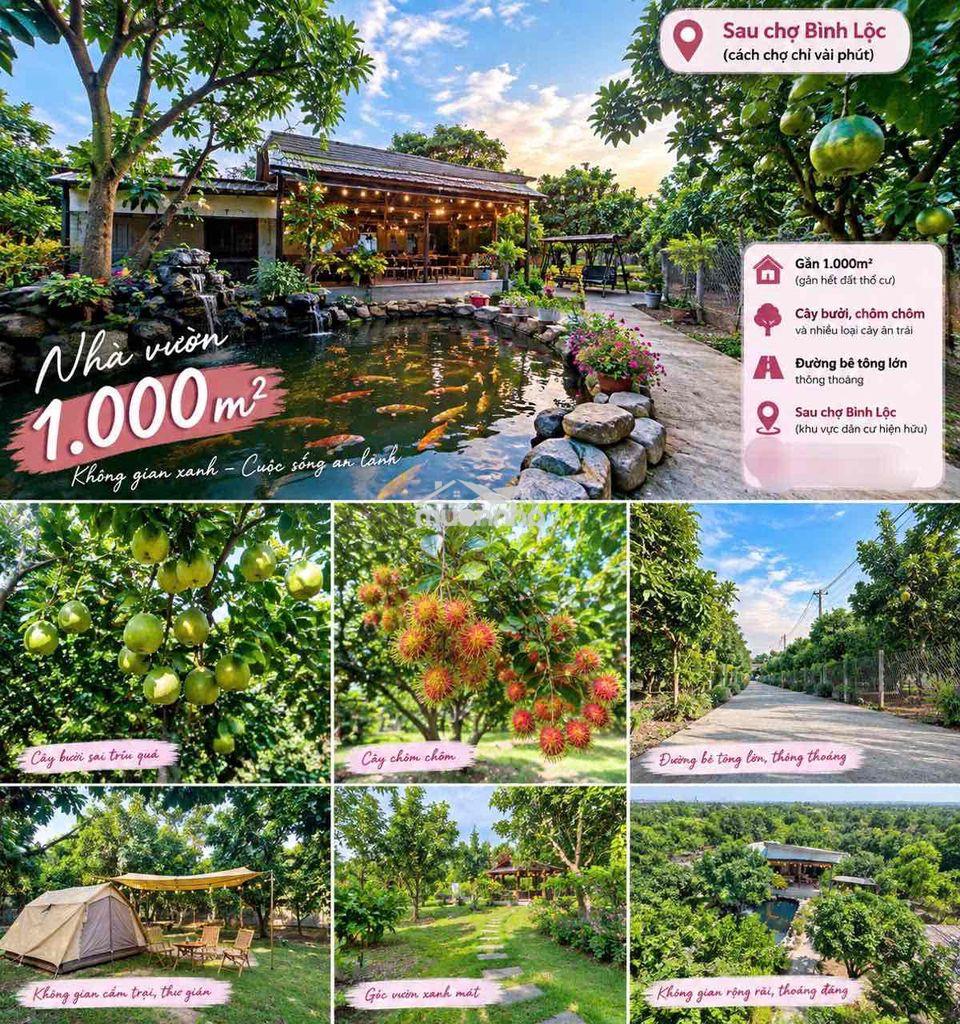 Đất sào cây ăn trái ngay chợ bình lộc - long khánh, sổ riêng, giá rẻ - Ảnh 3