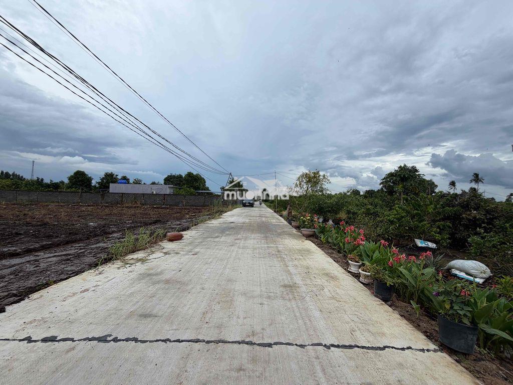 839tr/500m2 đất vườn mặt bê tông 6m cách nhựa 200m ,tại bến lức,la. - Ảnh 3