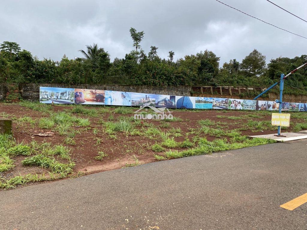 Chính chủ bán đất 105m² thổ cư hàng gòn – đồng nai | giá 950 triệu tl - Ảnh 3