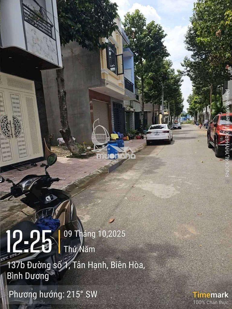 ​Bán đất tái định cư tân hạnh biên hòa đồng nai - 84m2 (4.2x20m)  - Ảnh 2