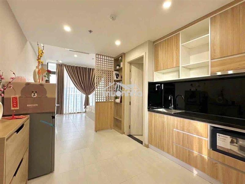 Căn hộ studio full nội thất cao cấp ngay luỹ bán bích - vườn lài