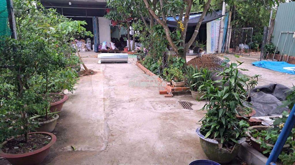Chính chủ cho thuê: phòng trọ kết hợp xưởng, đường t11 xã bình chánh. - Ảnh 2